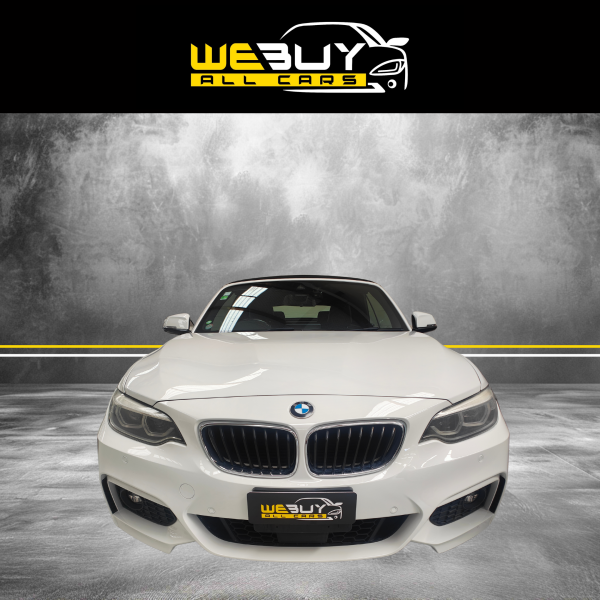 2018 BMW Cabriolet - Image 10